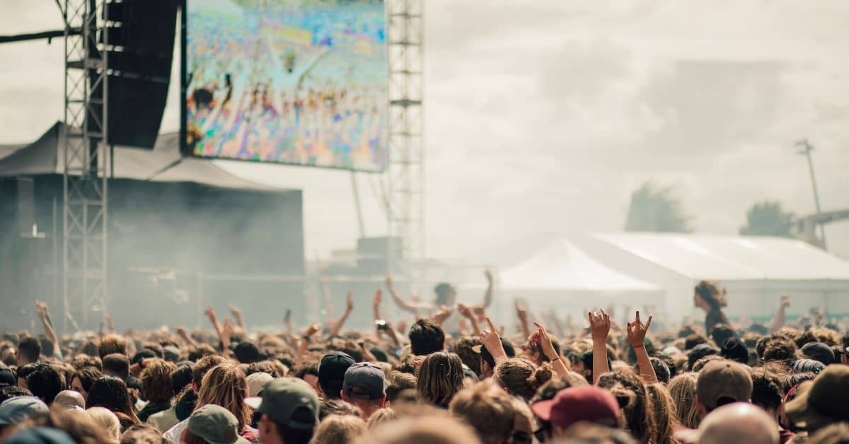 Festival WordPress Theme Development