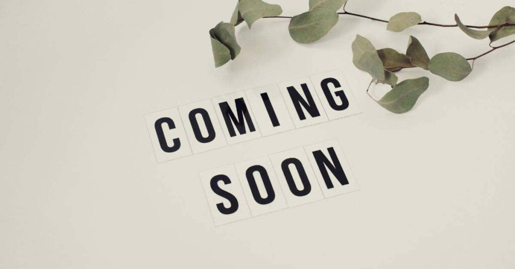 Countdown Timer Coming Soon Page WordPress Theme Development - Code Canel