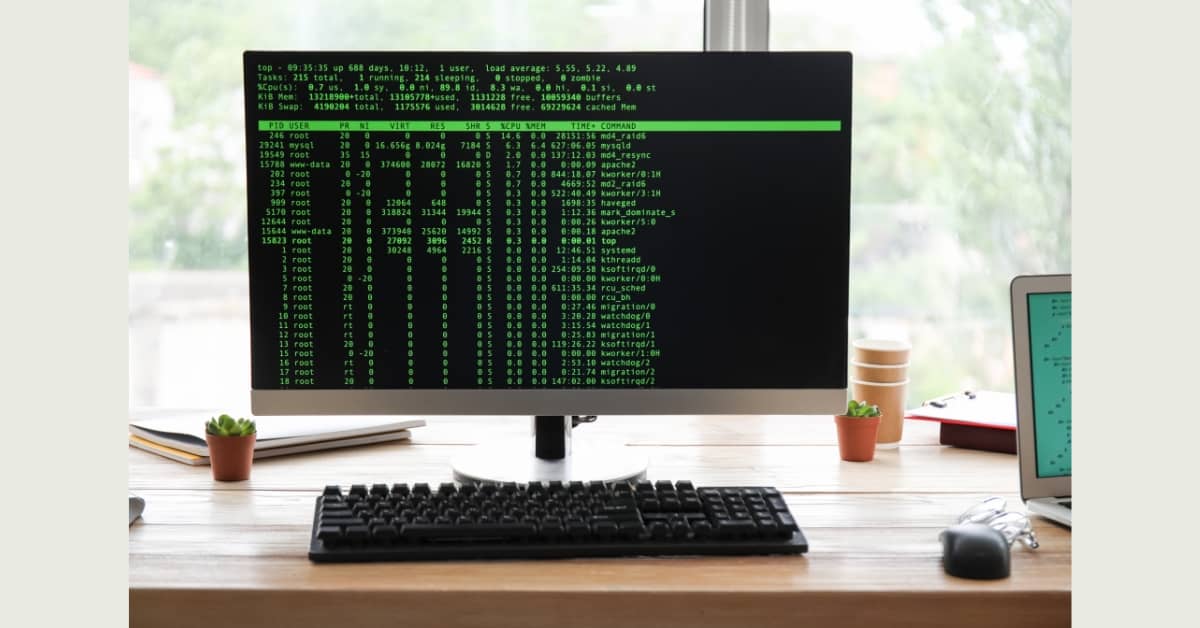 Automated Command-Line WordPress Migration Plugin Development