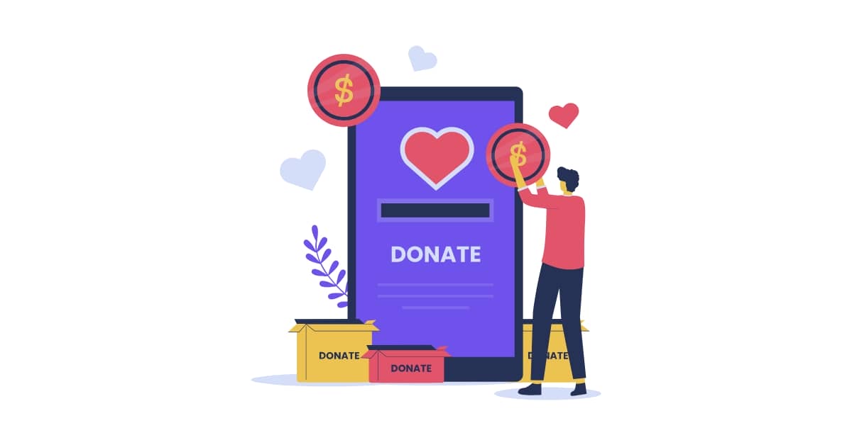 Donation Only WordPress Plugin Development