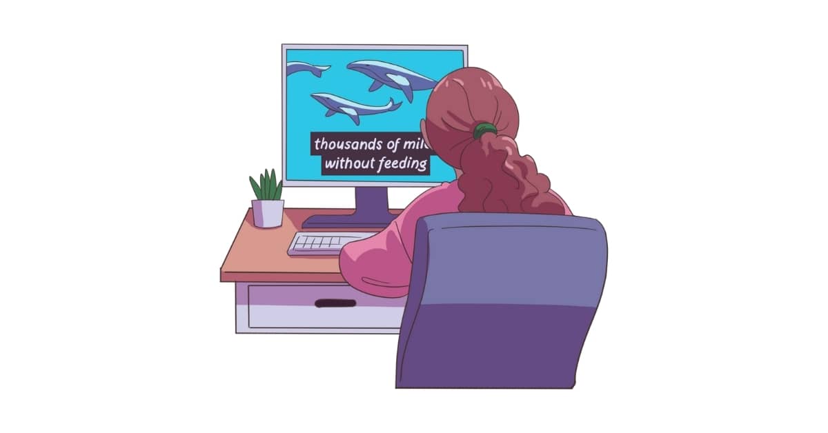 Manual Subtitling WordPress Plugin Development