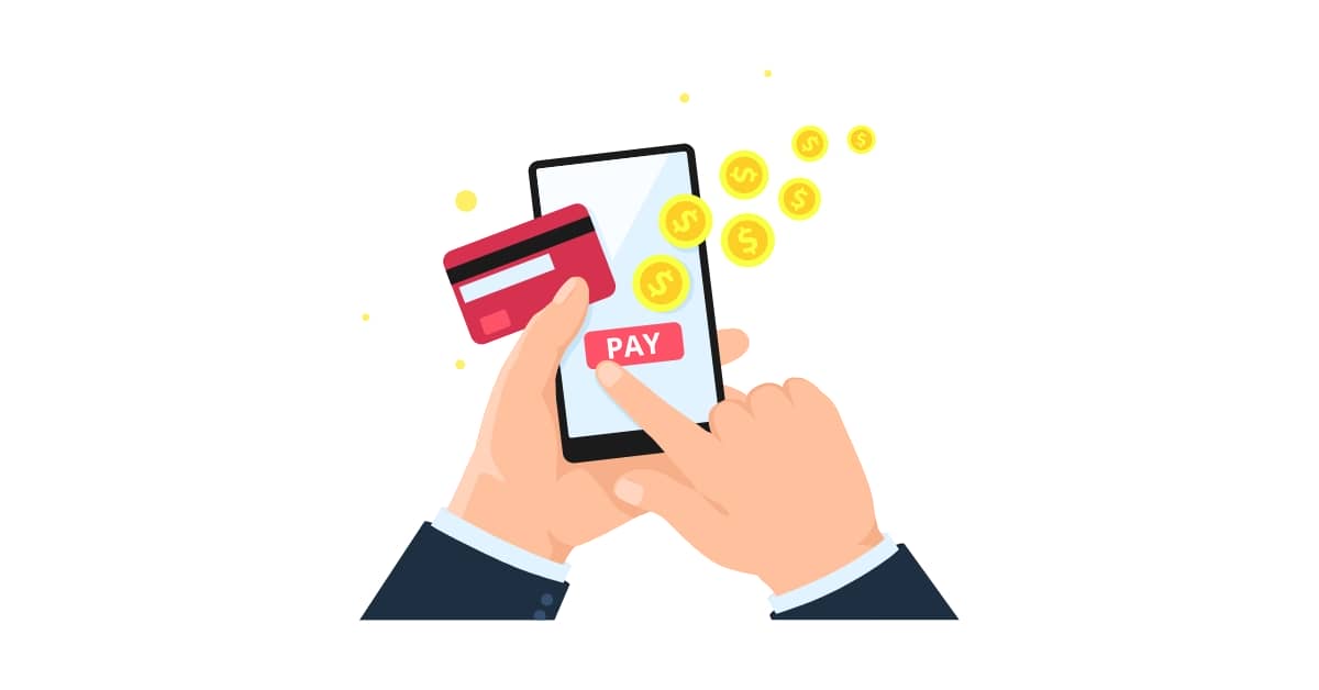 Payment Form WordPress Plugin Development
